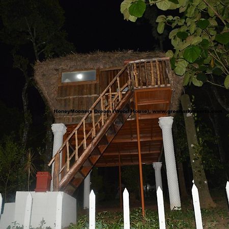 Green Ark Resorts Thekkady Oda fotoğraf